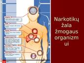 Narkotikai ir jų žala. Skaidrės 9 puslapis