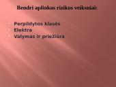 Sužalojimai 14 puslapis