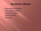 Sužalojimai 15 puslapis