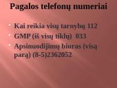 Sužalojimai 19 puslapis