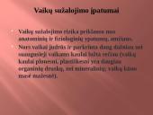 Sužalojimai 8 puslapis