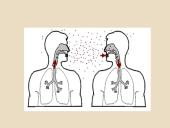 Tuberkuliozė (skaidrės) 13 puslapis