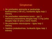 AIDS – pasaulio maras (skaidrės) 11 puslapis