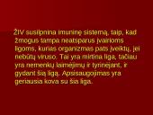 AIDS – pasaulio maras (skaidrės) 13 puslapis