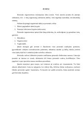 Personalo organizavimas jo formos bei personalo dokumentavimas 2 puslapis
