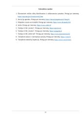 Verslo planas - kavos automobilis 10 puslapis