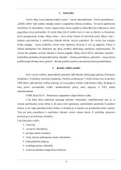 Verslo planas - kavos automobilis 3 puslapis