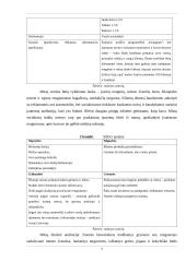 Verslo planas - kavos automobilis 6 puslapis