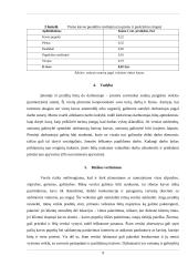 Verslo planas - kavos automobilis 8 puslapis