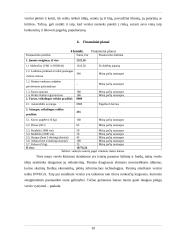 Verslo planas - kavos automobilis 9 puslapis