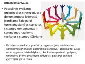 Lyderystė sveikatos priežiūroje. Skaidrės 3 puslapis