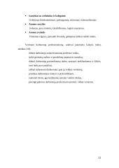 Personalo vertinimas ir planavimas 10 puslapis