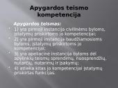 LR teismų sistema. Skaidrės 10 puslapis