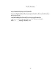 Fiziniai pratimai namų sąlygomis (referatas) 11 puslapis