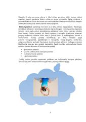 Fiziniai pratimai namų sąlygomis (referatas) 2 puslapis