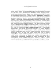 Fiziniai pratimai namų sąlygomis (referatas) 4 puslapis