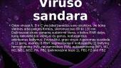 Biologijos projektinis darbas - gripas 10 puslapis