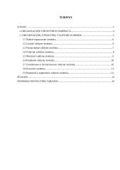 Perspektyvūs valdymo organizacinių struktūrų valdymo tipai ir jų pritaikymo galimybės 2 puslapis