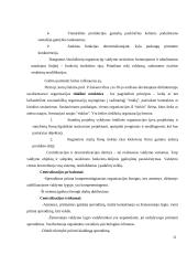 Perspektyvūs valdymo organizacinių struktūrų valdymo tipai ir jų pritaikymo galimybės 11 puslapis