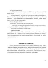 Perspektyvūs valdymo organizacinių struktūrų valdymo tipai ir jų pritaikymo galimybės 12 puslapis