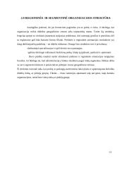 Perspektyvūs valdymo organizacinių struktūrų valdymo tipai ir jų pritaikymo galimybės 13 puslapis