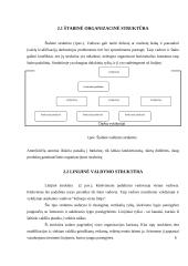 Perspektyvūs valdymo organizacinių struktūrų valdymo tipai ir jų pritaikymo galimybės 6 puslapis