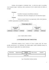 Perspektyvūs valdymo organizacinių struktūrų valdymo tipai ir jų pritaikymo galimybės 7 puslapis
