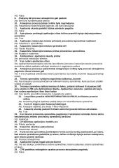 Civilinio proceso testas 13 puslapis