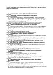 Civilinio proceso testas 17 puslapis