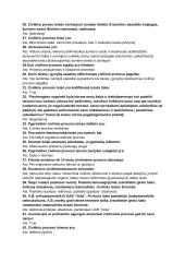 Civilinio proceso testas 3 puslapis