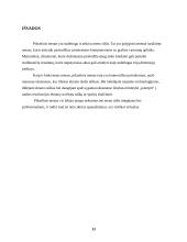 Pikselio menas 13 puslapis