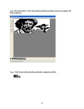 Pikselio menas 17 puslapis