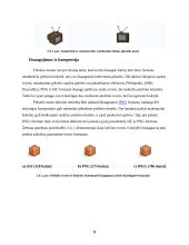 Pikselio menas 8 puslapis