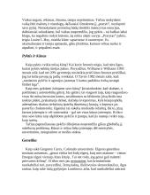 Pyktis ir įniršis 3 puslapis