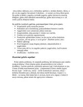 Pyktis ir įniršis 6 puslapis