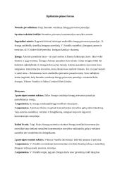 Kaip literatūra vaizduoja žmogų prievartos pasaulyje. Planas