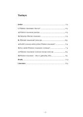 Pilietinė visuomenė Lietuvoje 2 puslapis