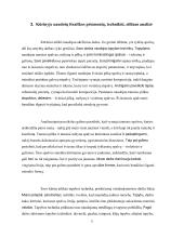 Triptikas „Naktis žmoguje‟. Dailės mokyklinio brandos egzamino kūrybinio darbo aprašas 4 puslapis