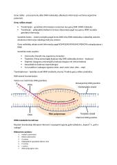 Citogenetika: konspektas 3 puslapis