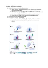 Citogenetika: konspektas 4 puslapis