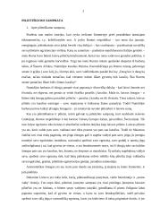 Pilietiškumo sampratos kaita modernėjančioje XX amžiaus visuomenėje 3 puslapis