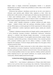 Pilietiškumo sampratos kaita modernėjančioje XX amžiaus visuomenėje 5 puslapis