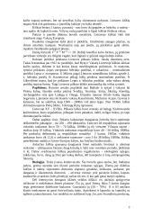 Pilkasis kiškis 2 puslapis