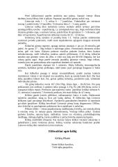 Pilkasis kiškis 4 puslapis