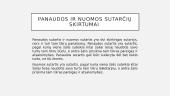 Panaudos sutartis (skaidrės) 10 puslapis