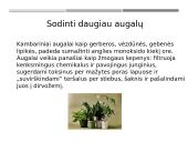 Oro taršos mažinimas (skaidrės) 8 puslapis