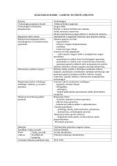 Vėjo jėgainės maketas. Technologijų brandos egzamino darbo aprašas 2 puslapis