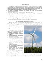 Vėjo jėgainės maketas. Technologijų brandos egzamino darbo aprašas 6 puslapis