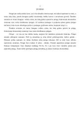 Pinigai ir jų funkcijos ekonomikoje 2 puslapis