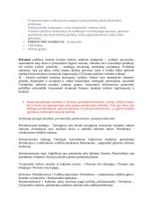 Lietuvos politinė sistema - konspektas 2 puslapis